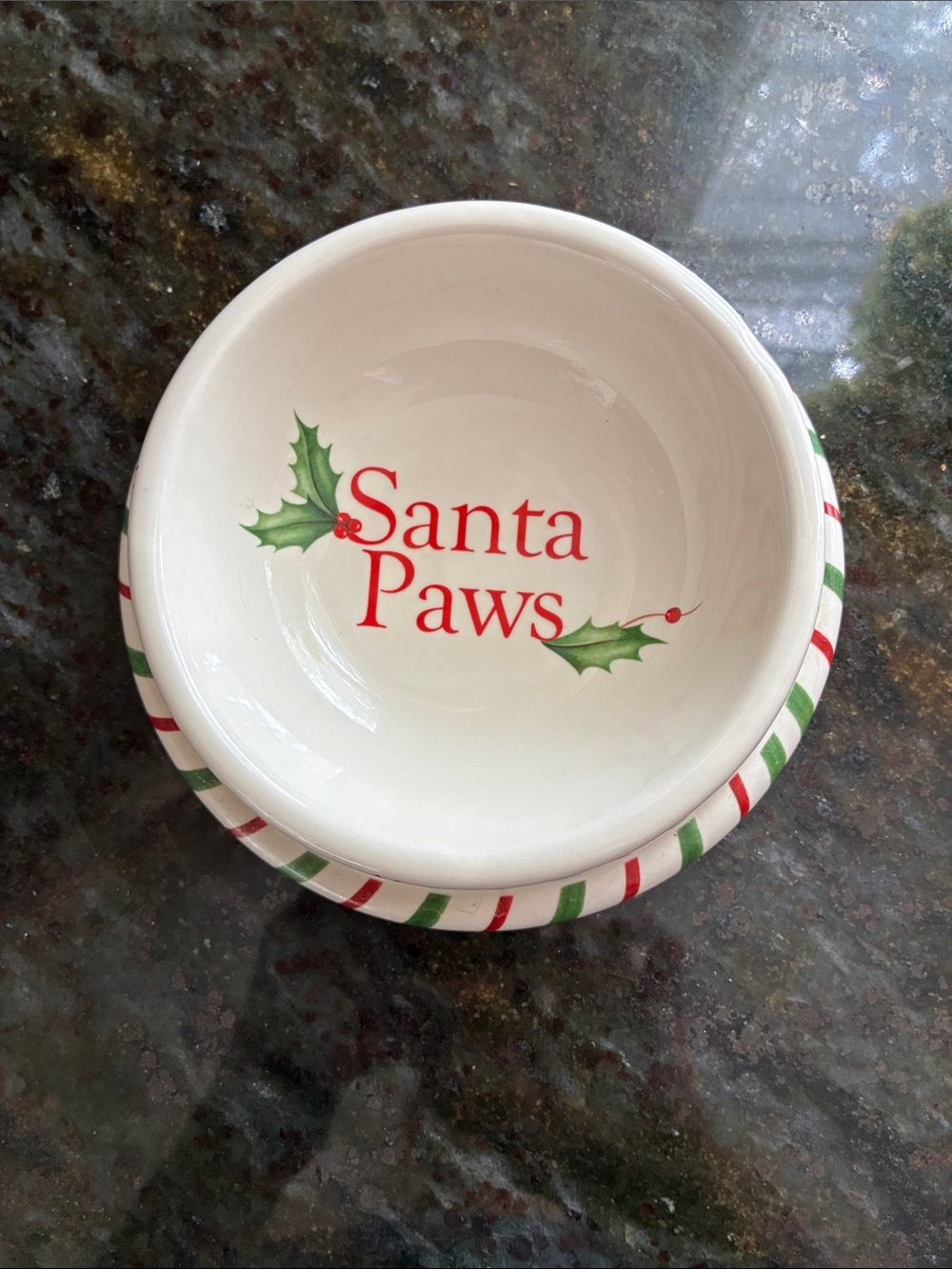 Lenox Santa Paws Pet Bowl in Red & Green